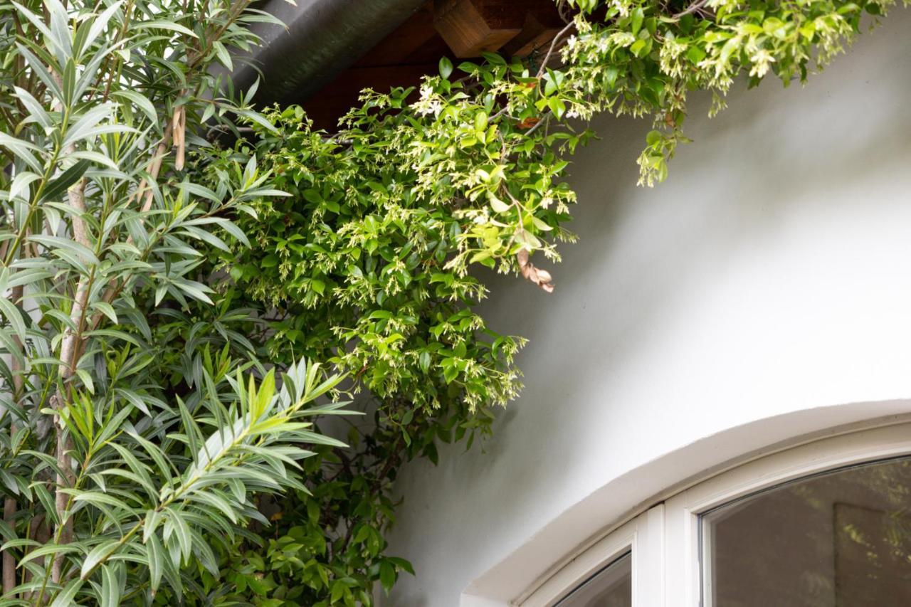 The Artist'S Nest - By My Home In Como Exterior foto